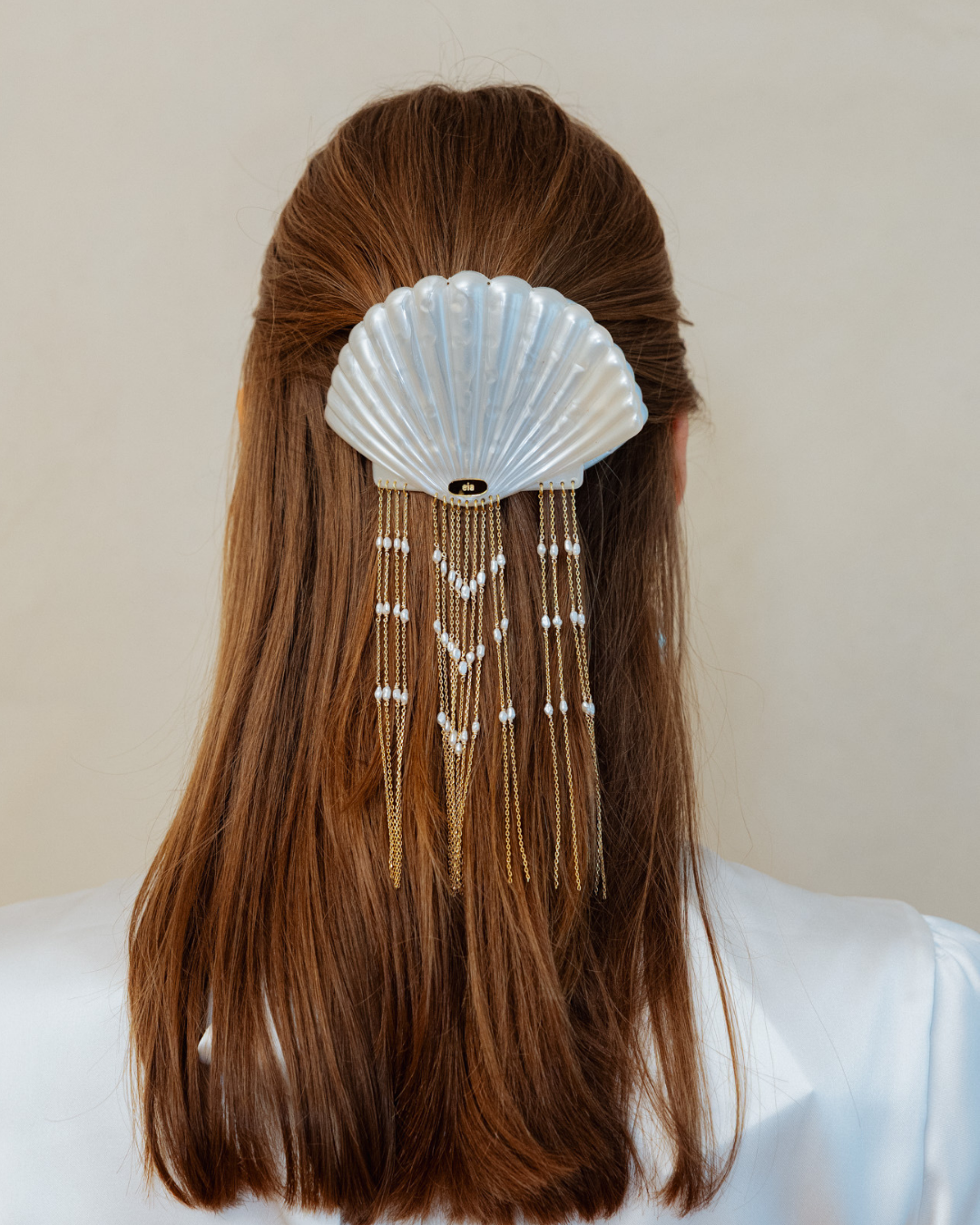 Pinza  Seashell