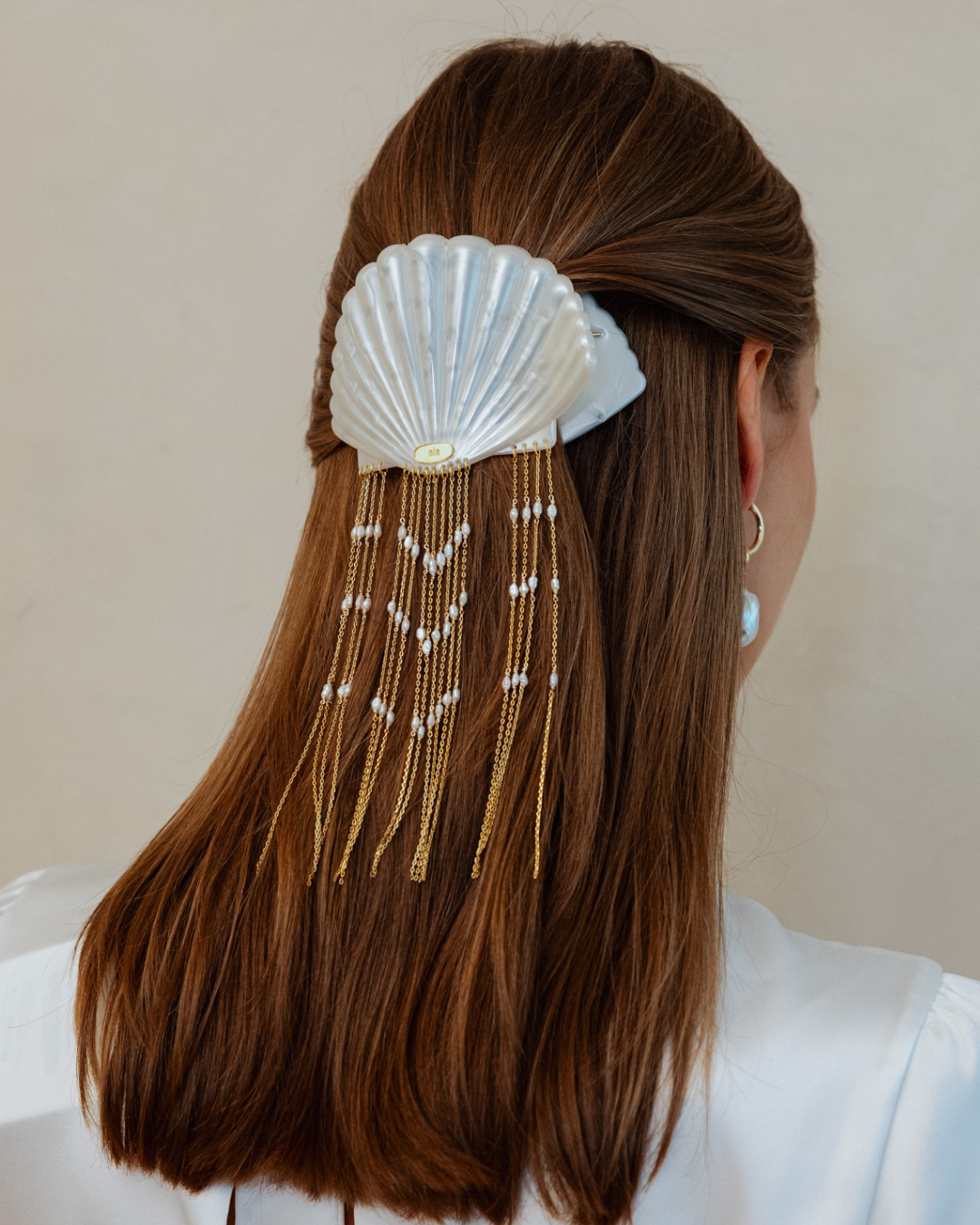 Pinza  Seashell